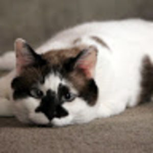 Meet your Posher, Rita